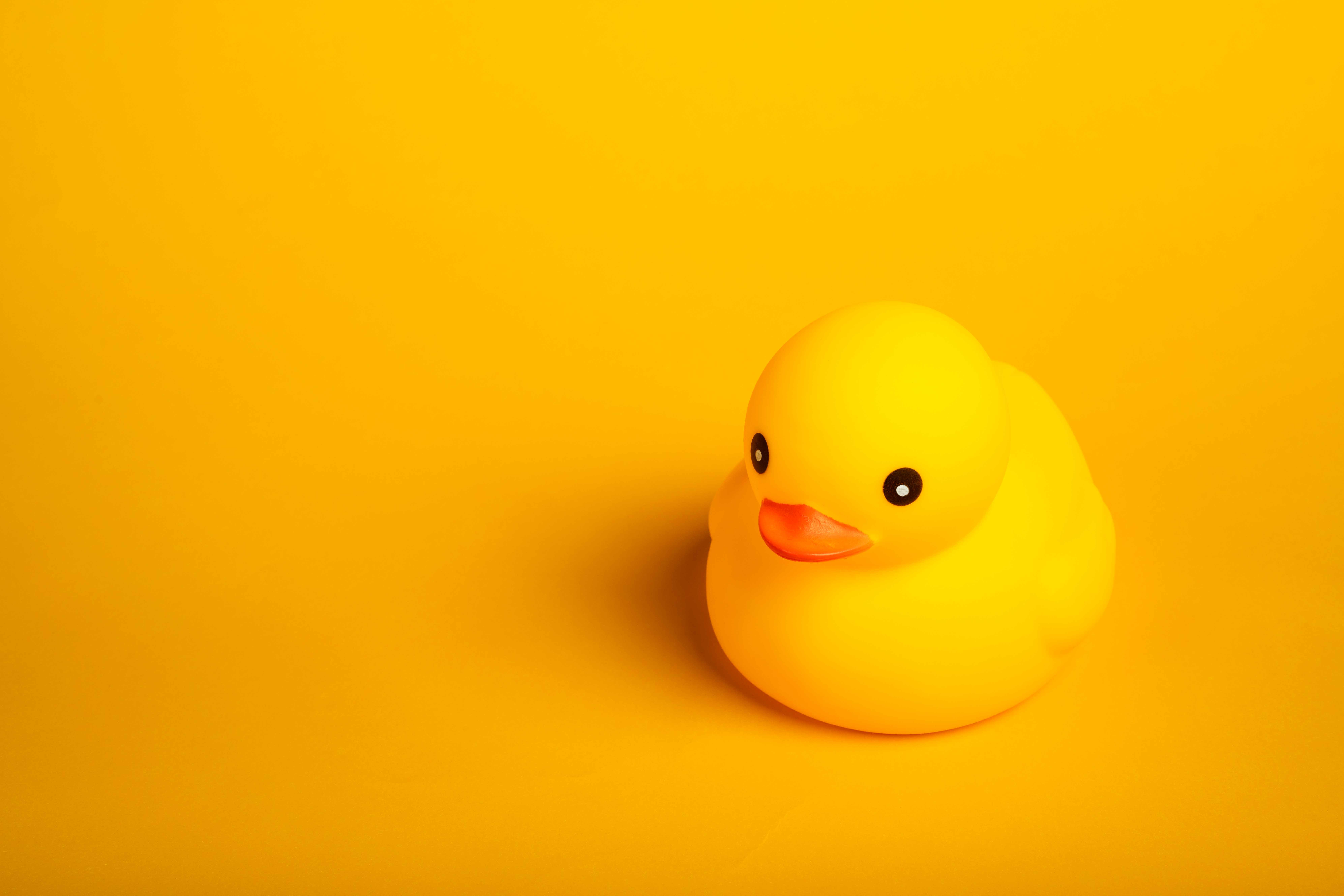 The Butter Duck — the team behind your booth