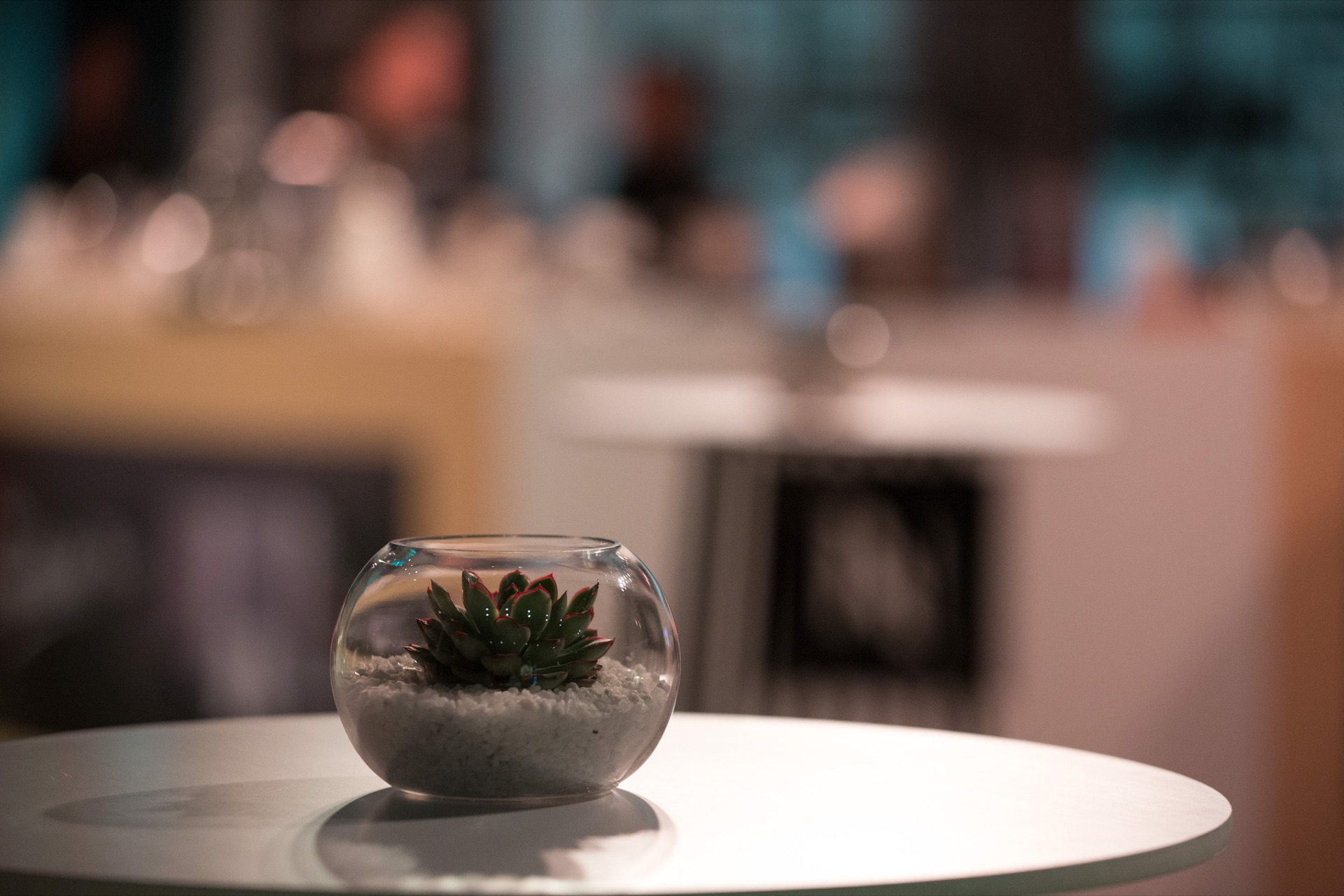 Luxury Beverage Brand CreatistaPlus Launch — photo 1